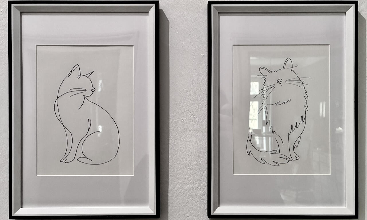 Katzenlinien